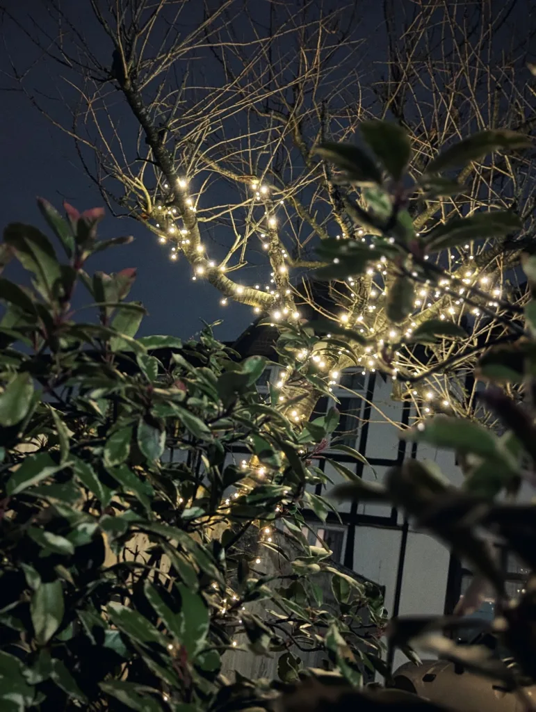 Bare tree branches wrapped in warm white fairy lights at night, seen through leafy bushes with a timber-framed house behind.