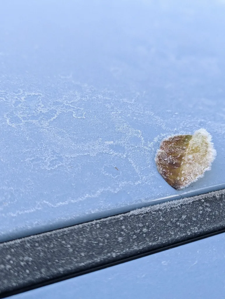 A frost-edged brown leaf rests on a pale blue surface covered in delicate ice crystals and white frost patterns.