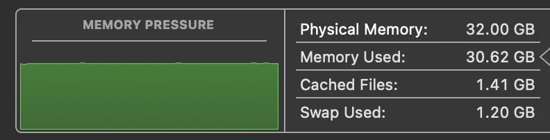 Screenshot of the macOS Activity Monitor memory tab showing a green Memory Pressure graph. Text indicates Physical Memory: 32.00 GB, Memory Used: 30.62 GB, Cached Files: 1.41 GB, and Swap Used: 1.20 GB.