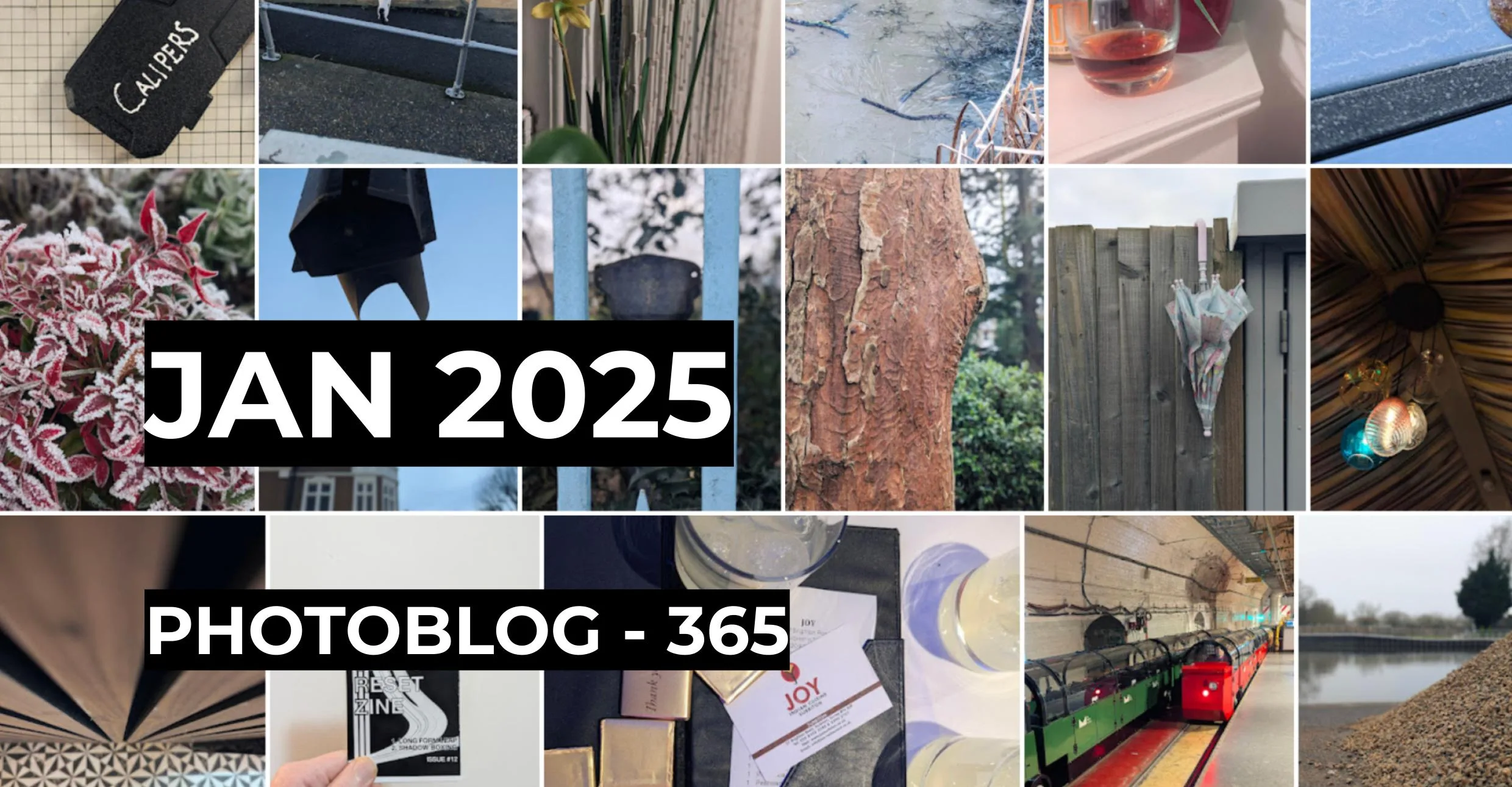 Jan 2025 | Photo 365