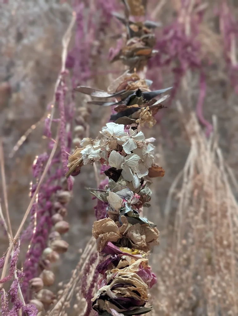 A vertical strand of dried flowers featuring pale hydrangea petals and magenta roses against a blurry background of hanging botanicals.