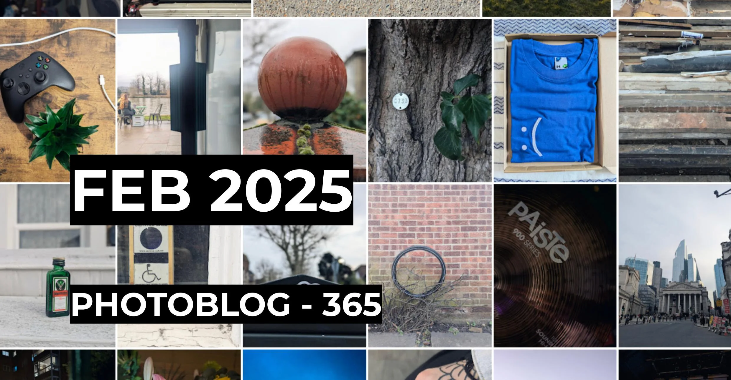 Feb 2025 | Photo 365