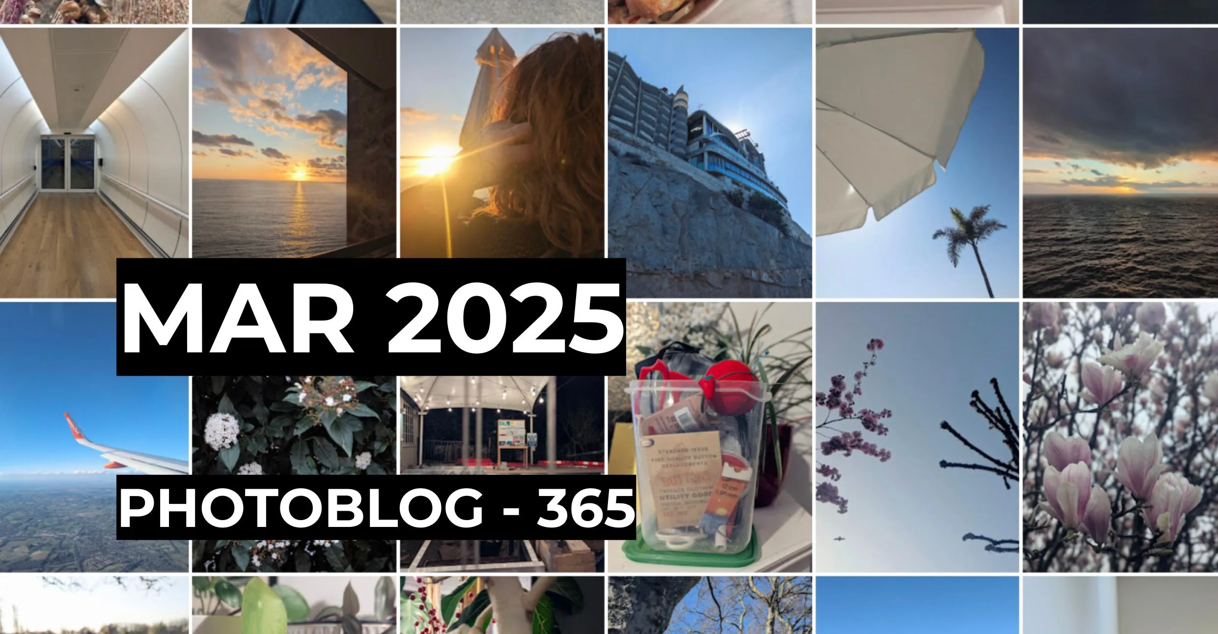 Mar 2025 | Photo 365