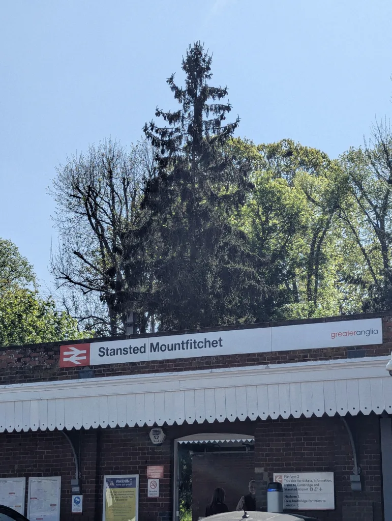 A tall dark pine tree towers over the Stansted Mountfitchet station building and sign under a clear blue sky.