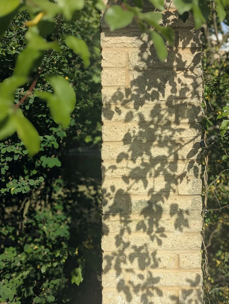 Dappled leaf shadows on a pale brick pillar, framed by blurred green foliage in bright sunlight.