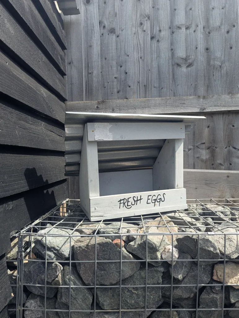 A white wooden box labelled FRESH EGGS with a corrugated metal roof sits on a rock-filled gabion beside a dark wooden wall.