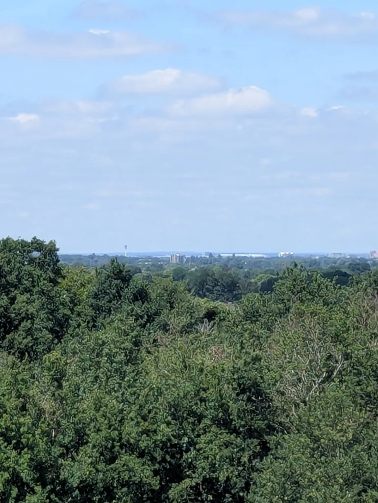 Lush green treetops stretching toward a distant horizon and city skyline under a bright blue sky with scattered white clouds.