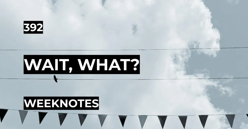 Featured image for WAIT, WHAT? - Weeknotes 392, a bird silhouette on a wire against a cloudy sky with bunting along the bottom.