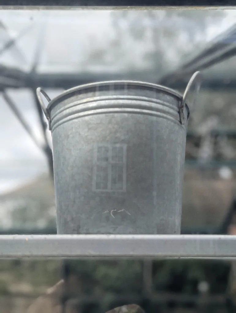 A small galvanized metal bucket sitting on a greenhouse shelf, its surface reflecting a window pane.