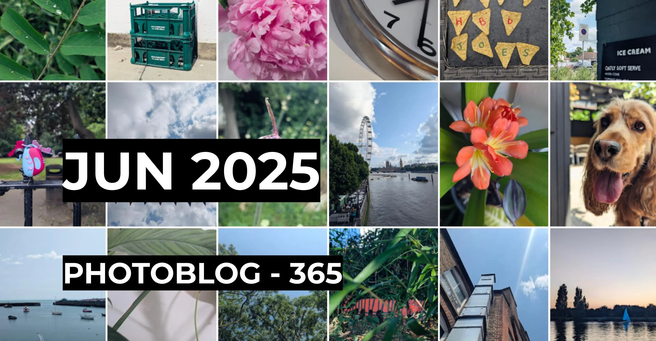 June 2025 | Photo 365