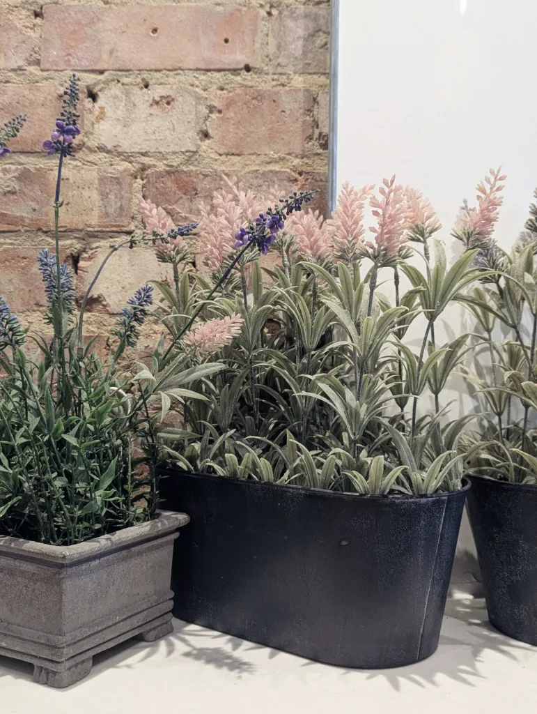 Purple and pink flowering sprigs in grey and black pots against an exposed red brick wall.