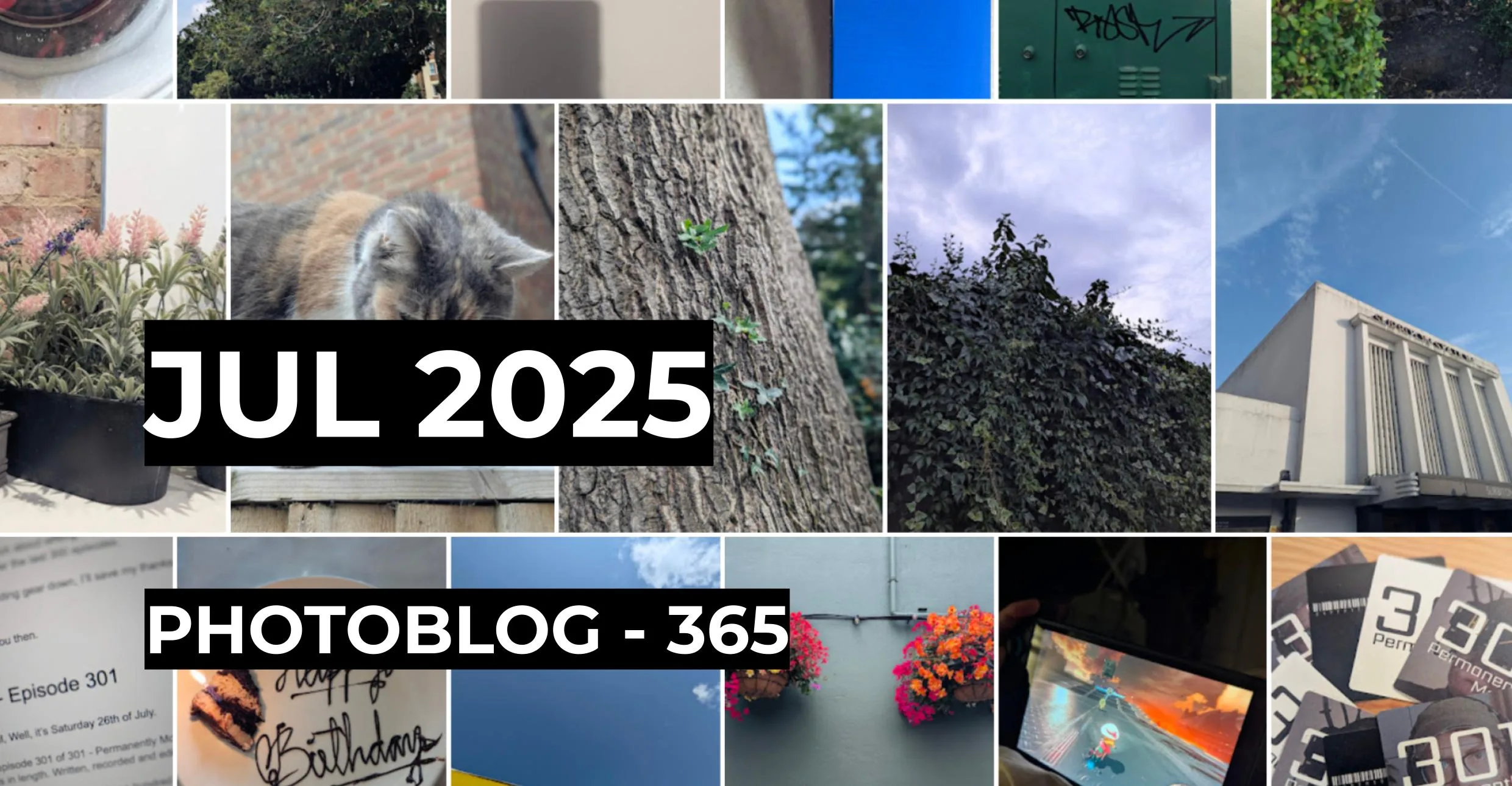 July 2025 | Photo 365