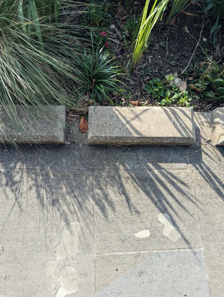 Long, sharp shadows of ornamental grasses cast over grey stone paving slabs next to a garden border in bright sunlight.