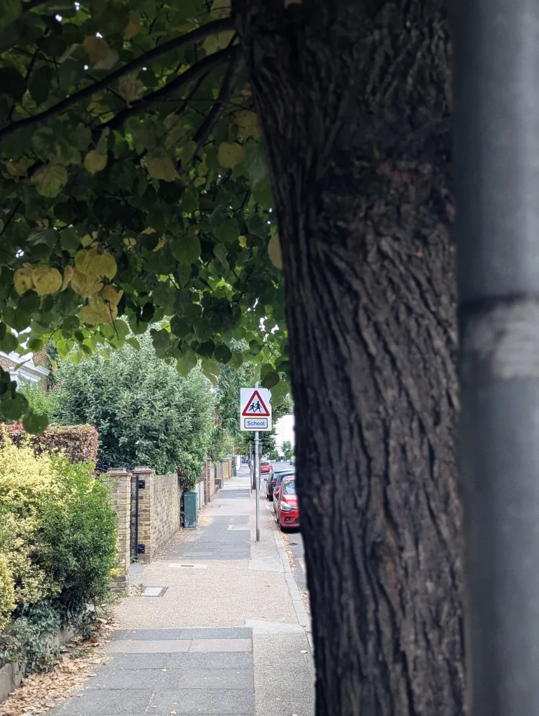A suburban pavement framed by a large tree trunk and green leaves, leading toward a triangular school warning sign and parked cars.