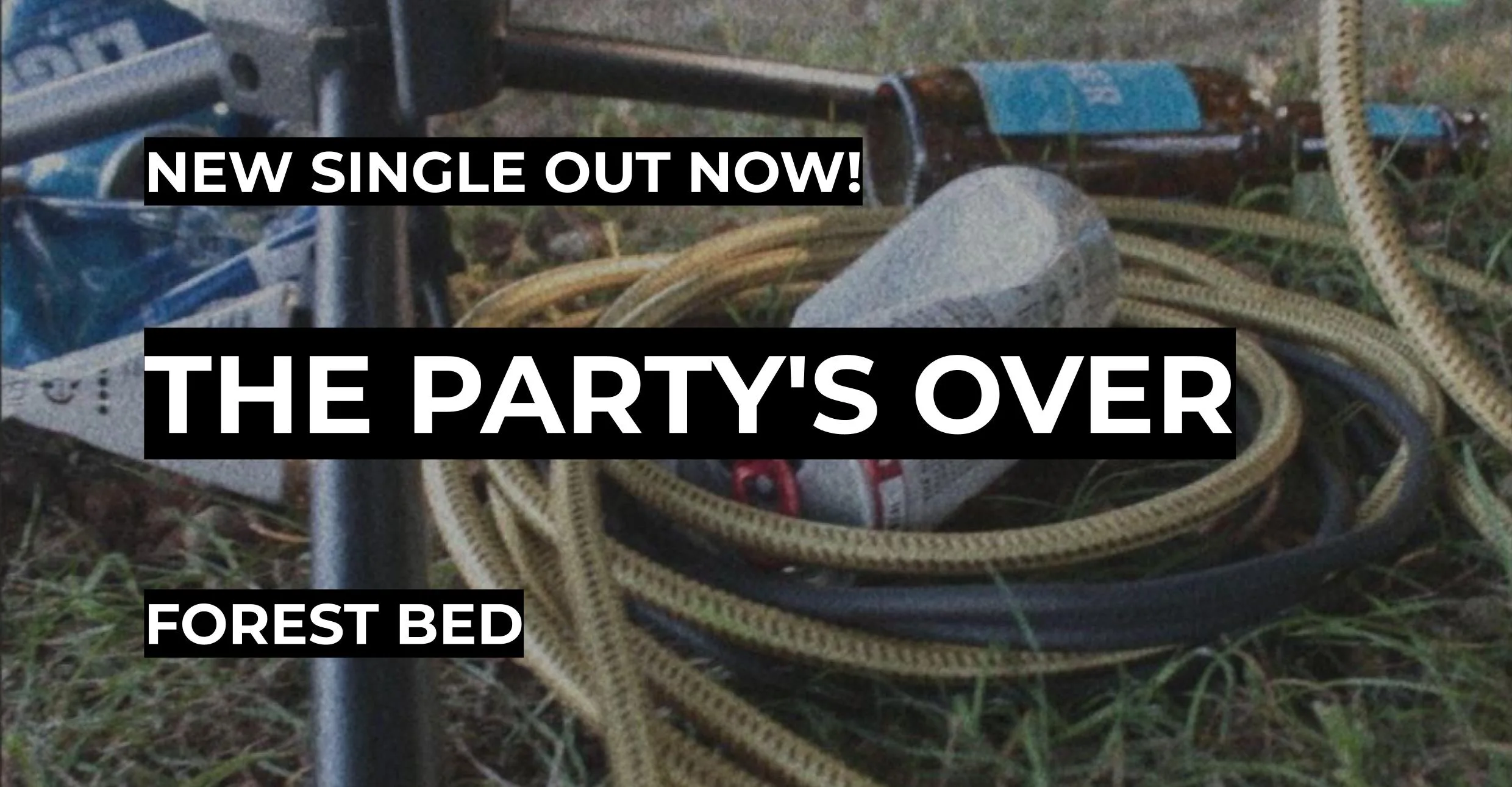 Forest Bed | The Party’s Over