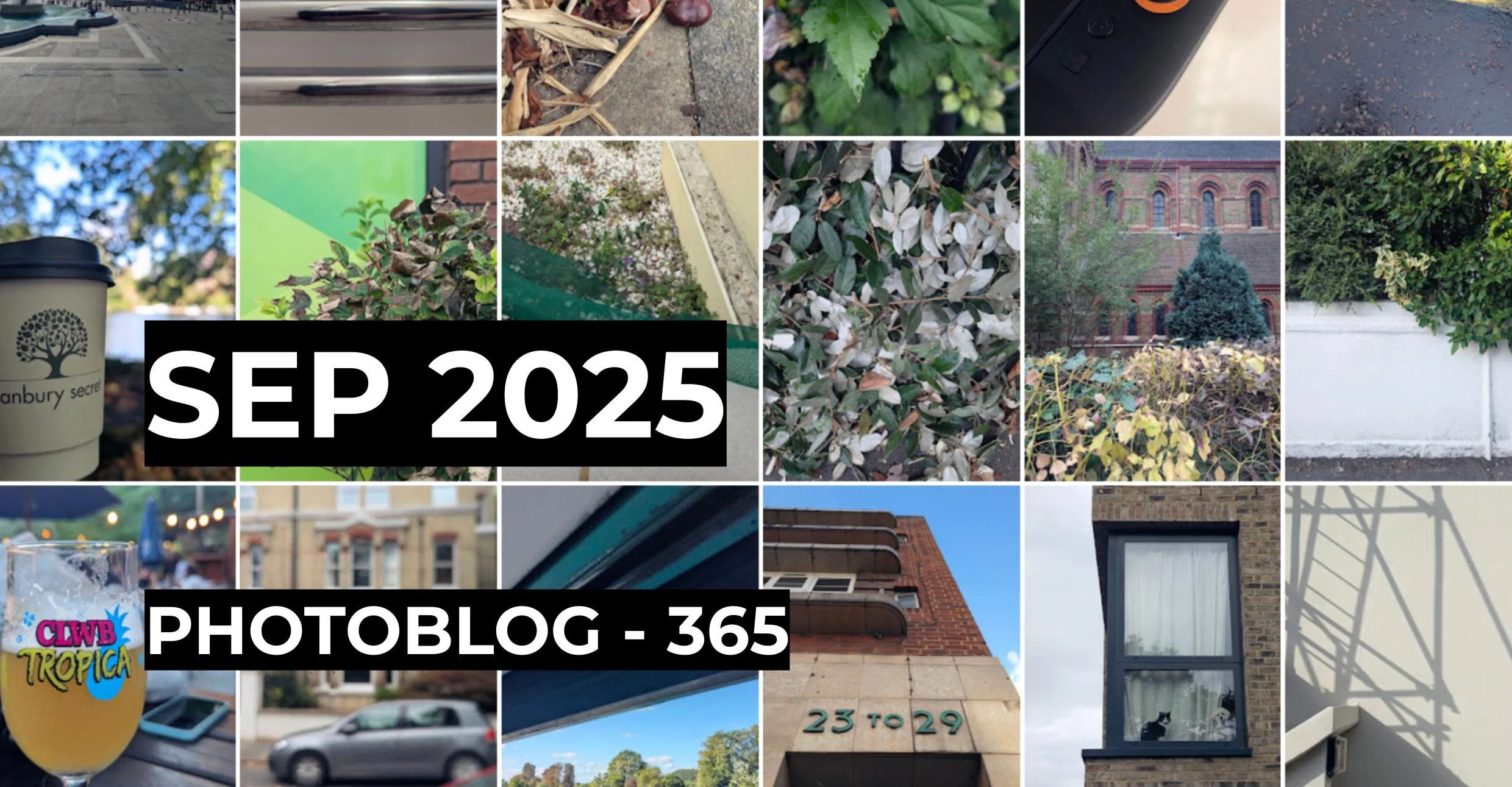 September 2025 | Photo 365