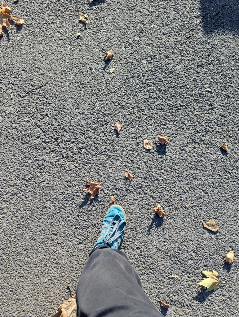 A bright blue sneaker and dark trouser leg on grey asphalt scattered with dried autumn leaves in direct sunlight.