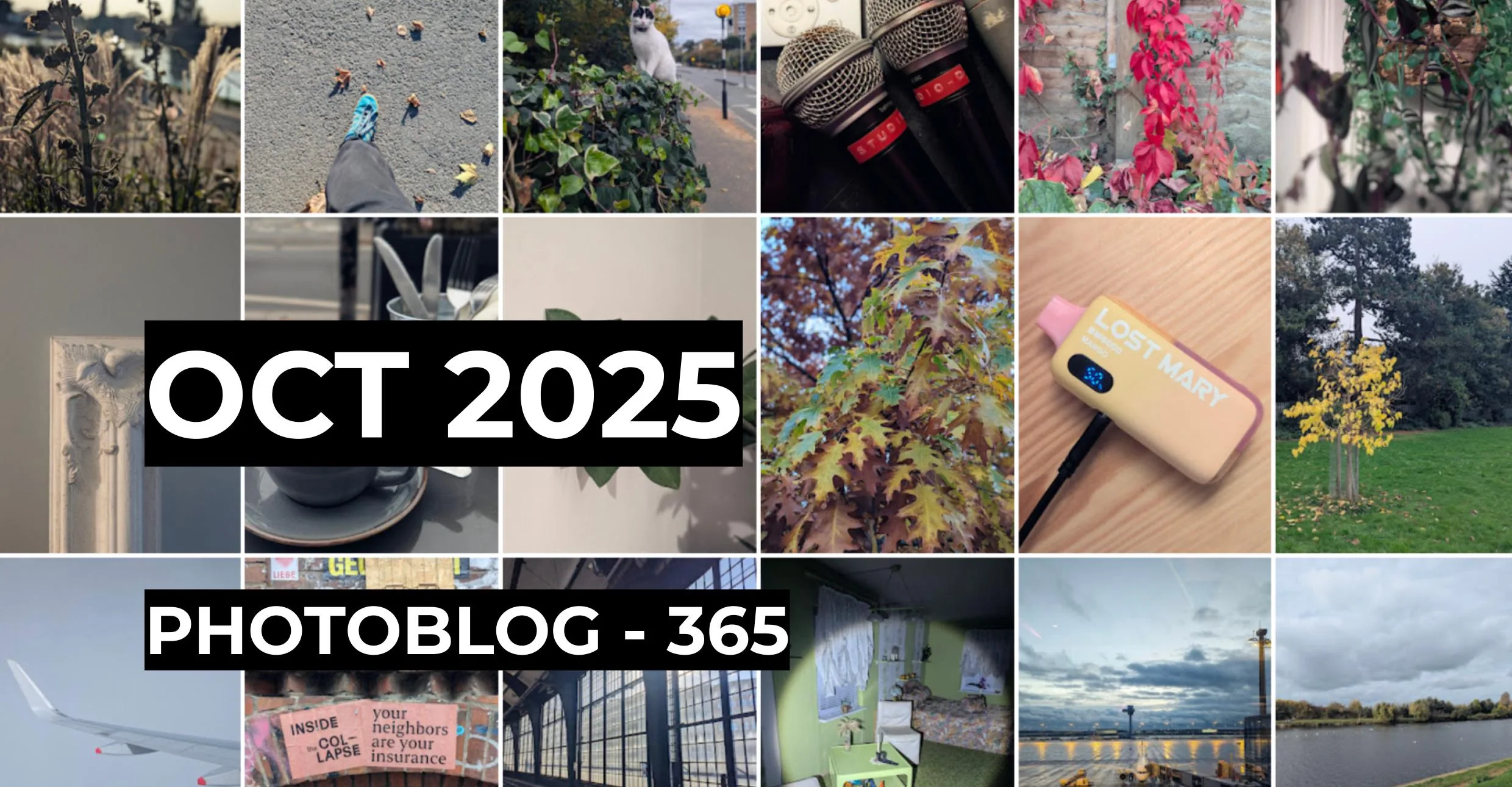 October 2025 | Photo 365