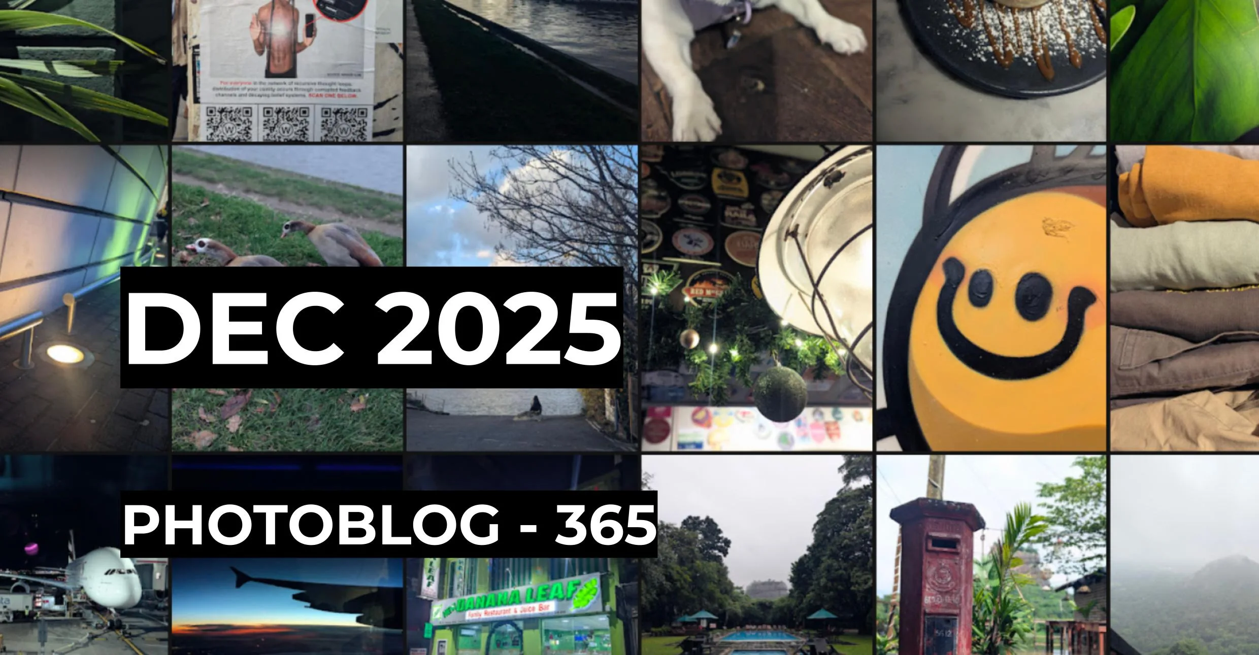 December 2025 | Photo 365