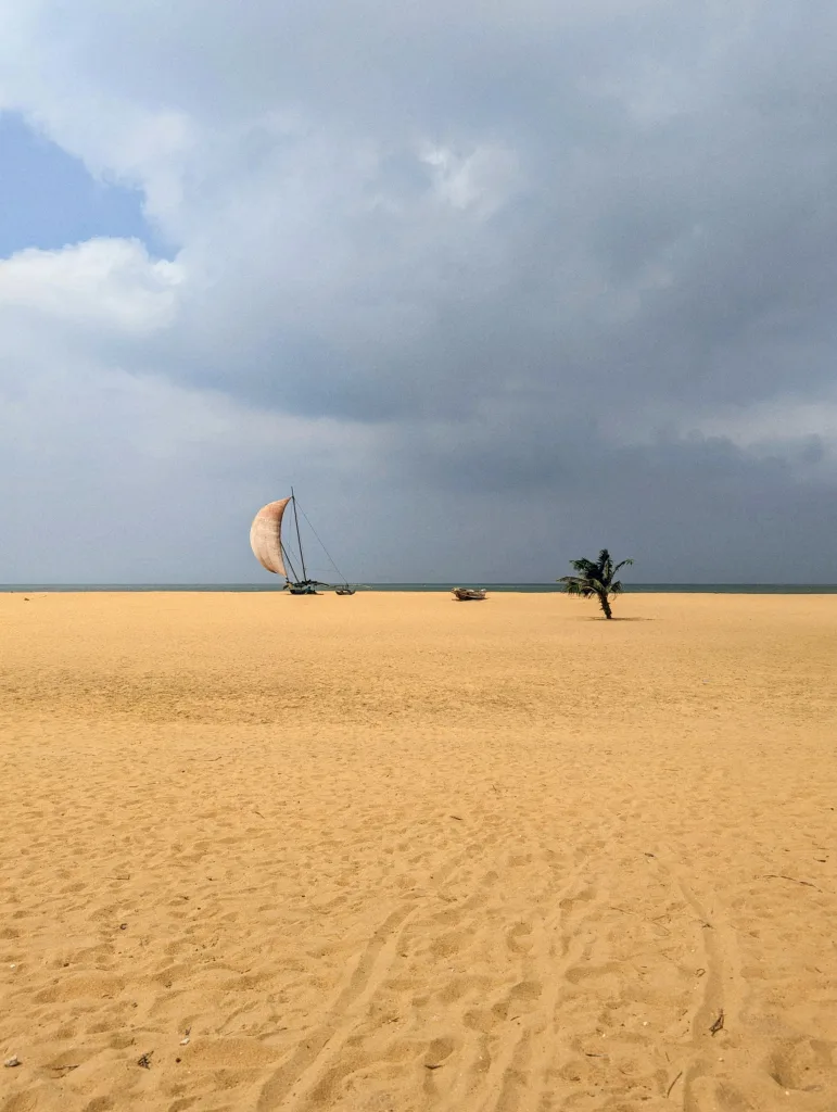 A traditional outrigger boat with a tan sail and a lone palm tree on a vast golden sand beach under a dramatic, overcast sky.