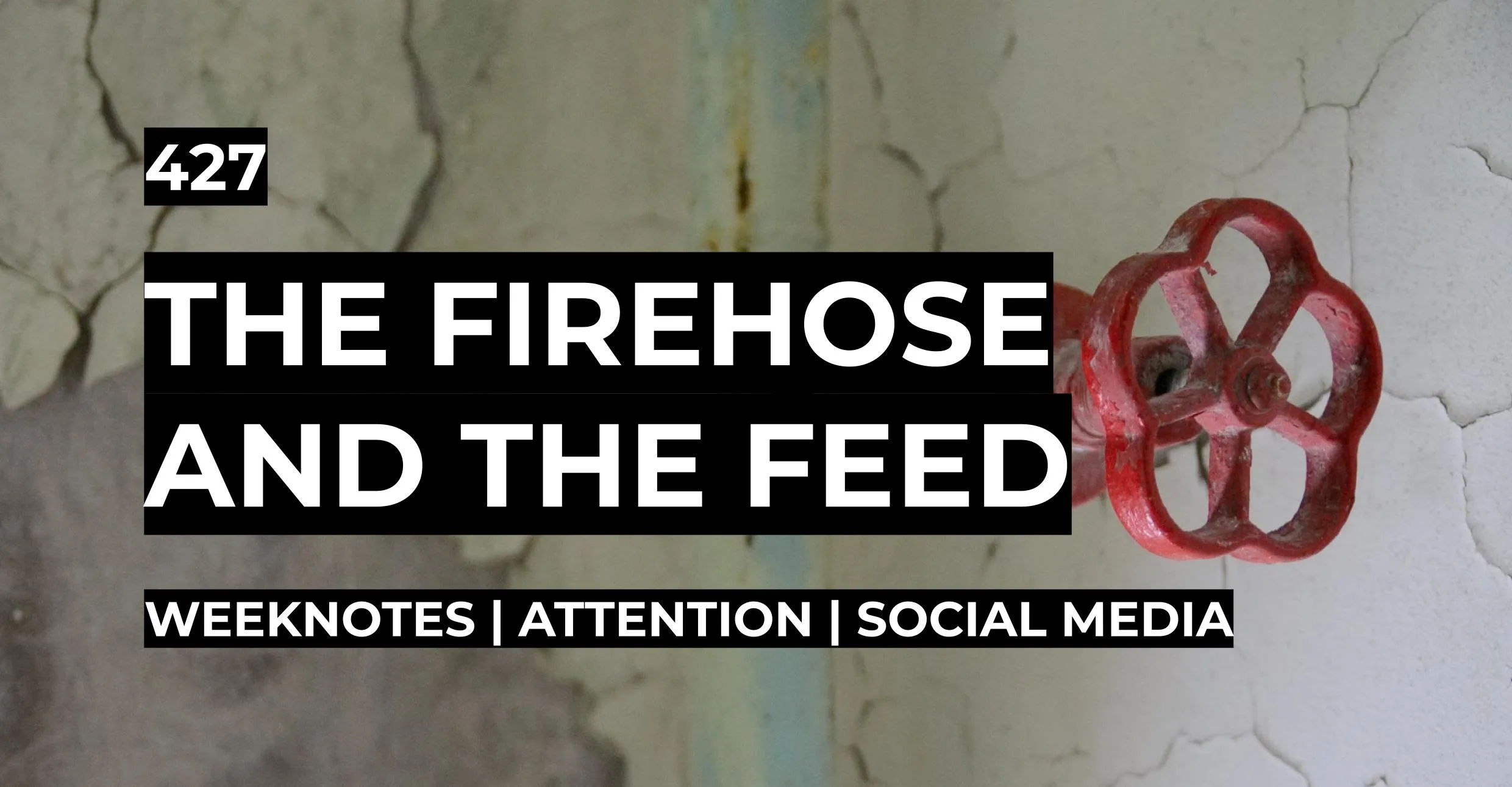 The Firehose and the Feed