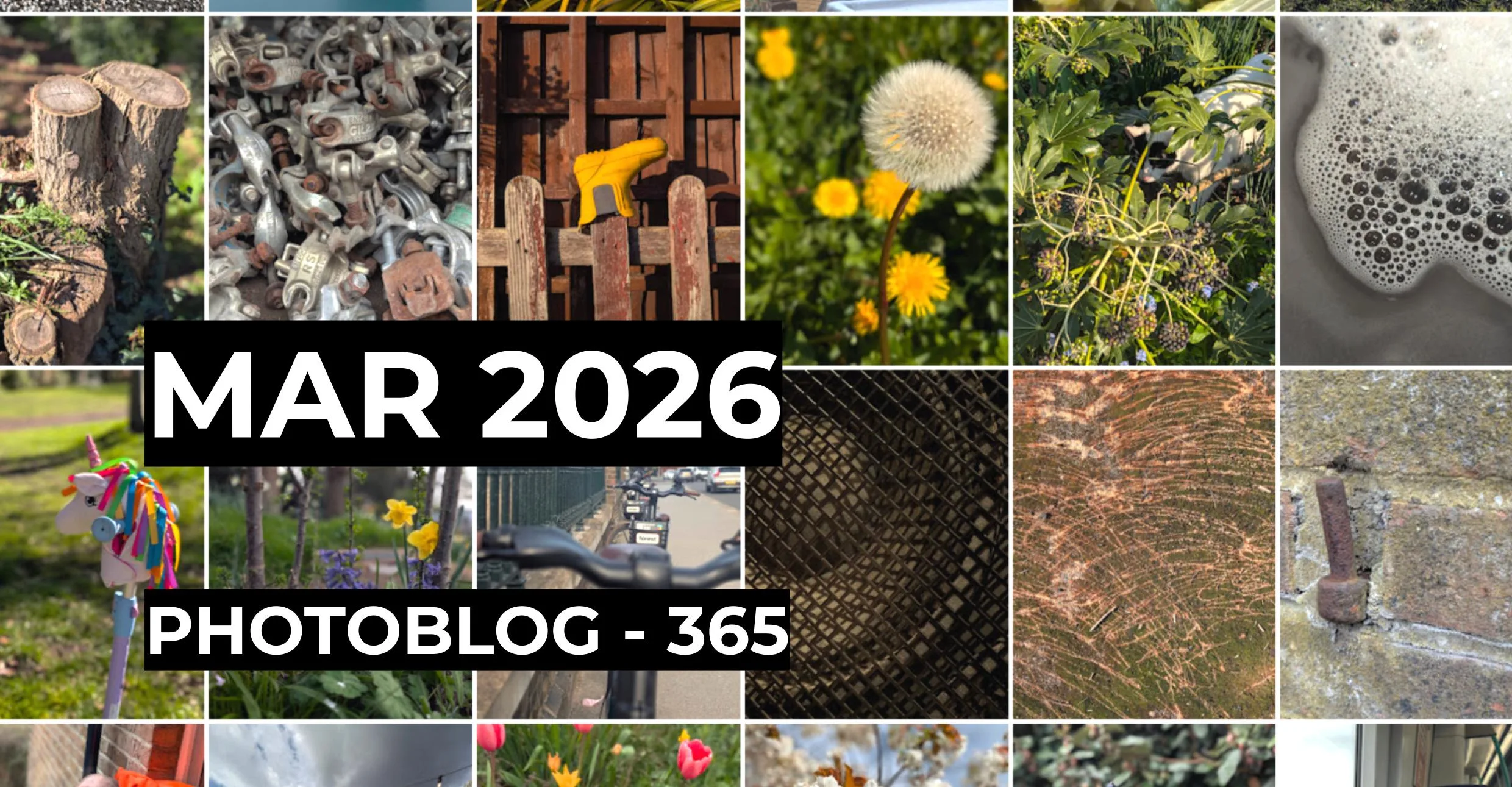 March 2026 | Photo 365