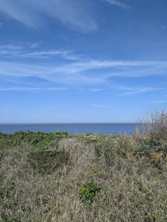 Wild coastal grass and green shrubs overlooking a calm blue sea under a vast bright sky with wispy white clouds.