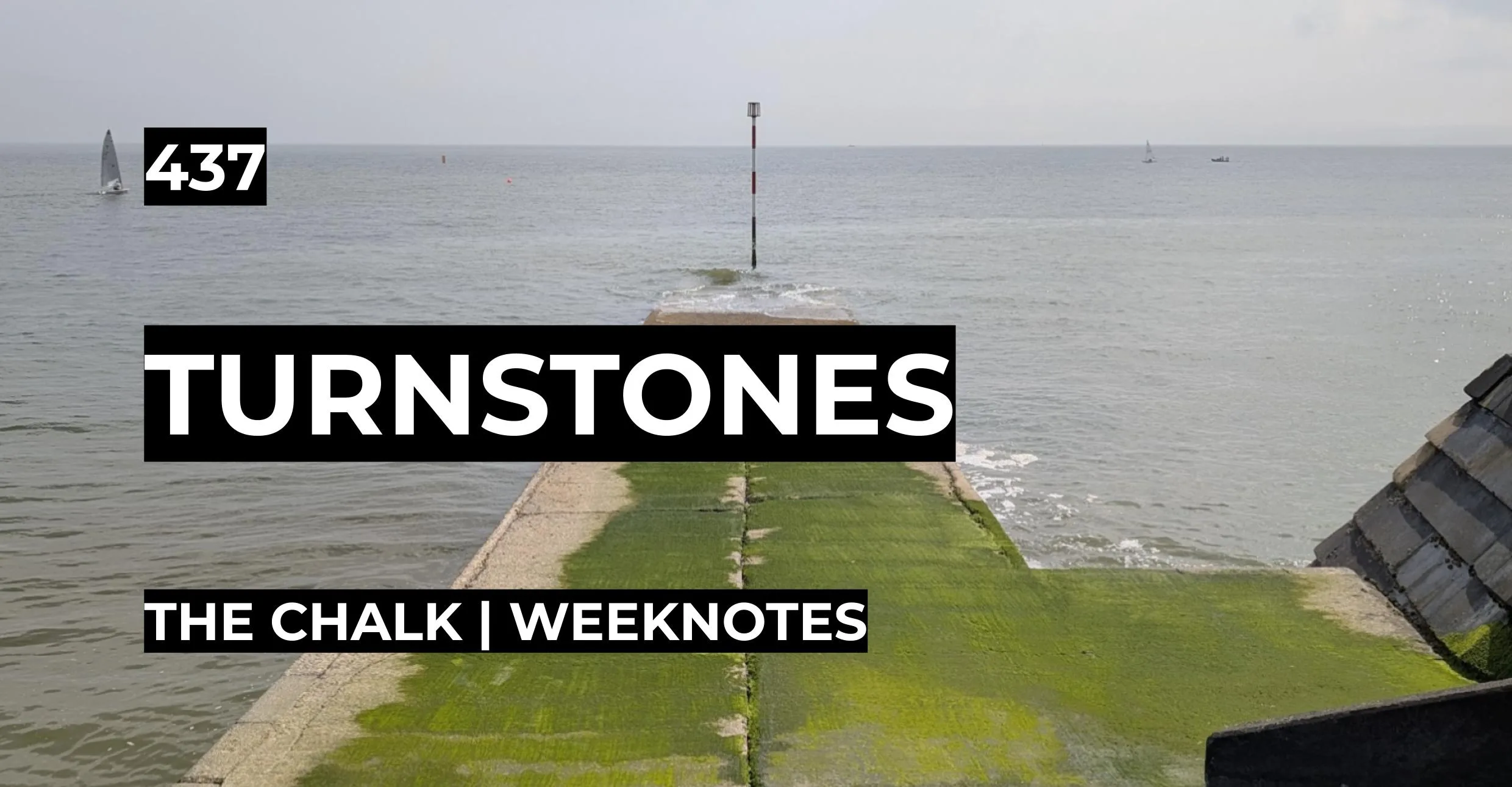Turnstones | Weeknotes #437