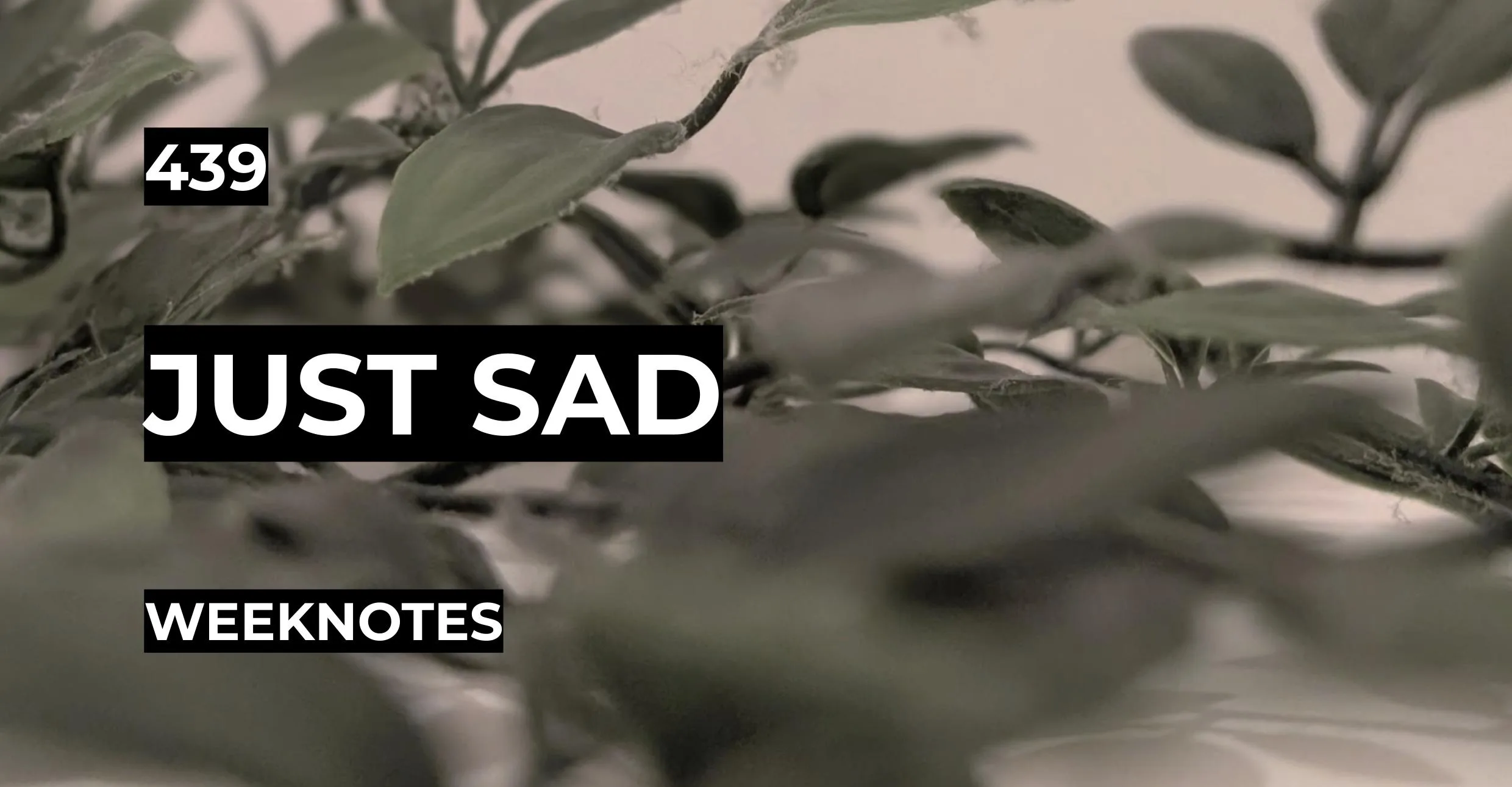 Just Sad | Weeknotes #439