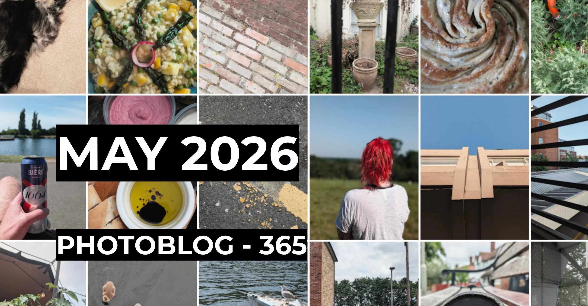 May 2026 | Photo 365