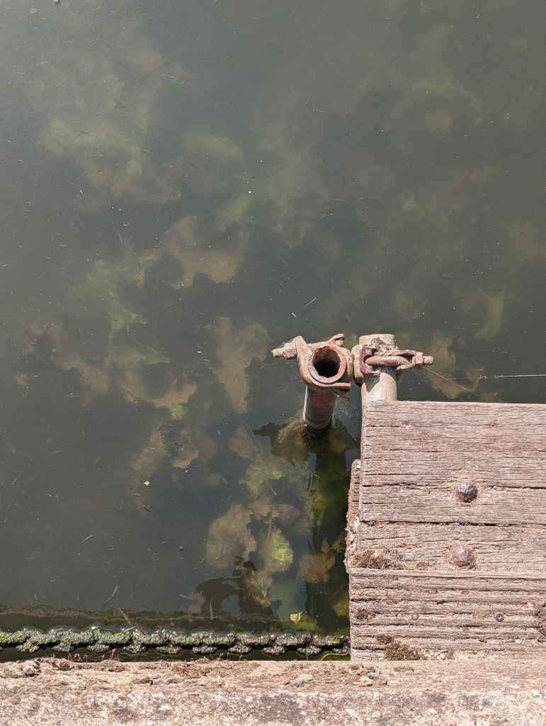 Rusty scaffolding clamps on the corner of a wooden dock, over murky pond water with green aquatic plants visible below the surface.